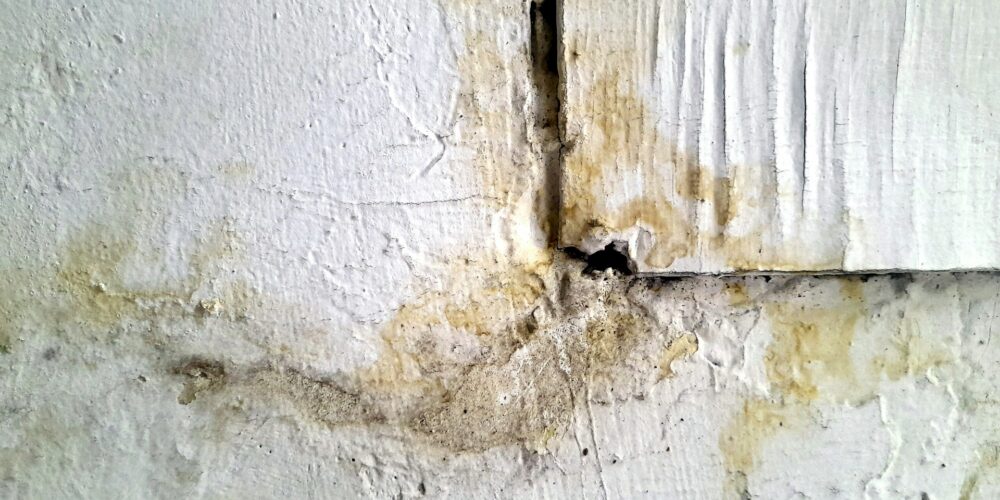 Wat te doen bij vochtplekken in huis?